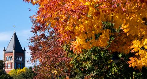 T-hall in the fall