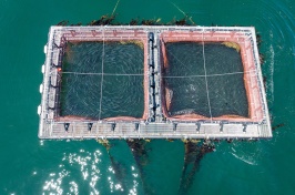 Aerial view of UNH's AquaFort, a self-contained aquaculture system
